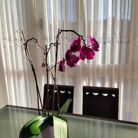 Apartment Gran Familia