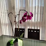 Apartment Gran Familia