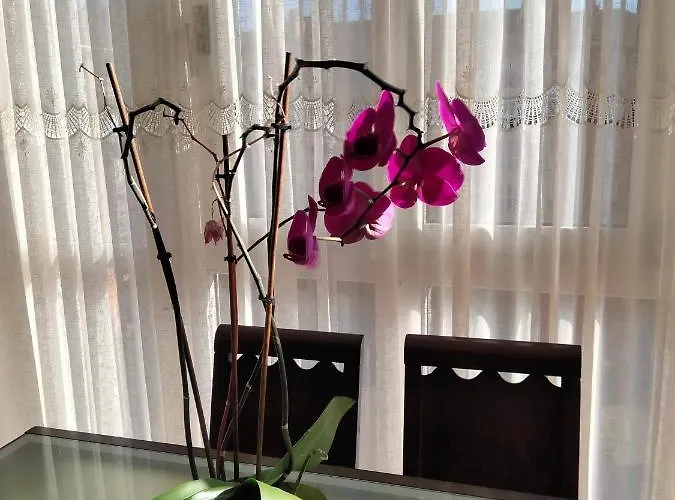 Appartement Gran Familia